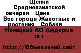 Щенки Среднеазиатской овчарки › Цена ­ 30 000 - Все города Животные и растения » Собаки   . Ненецкий АО,Амдерма пгт